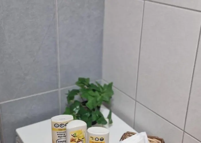 Aura Nest 10 * 塞拉耶佛